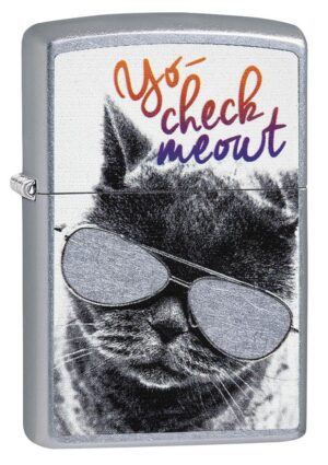 Cat with Glasses