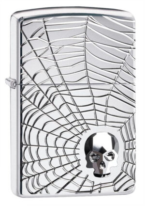 Spider Web Skull Design