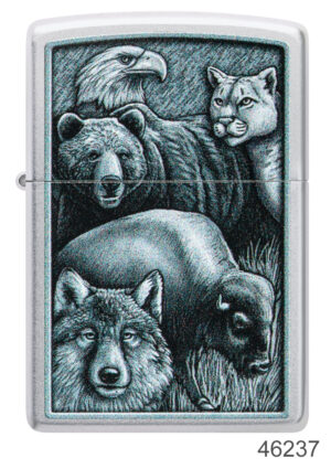 Animal Kingdom Design