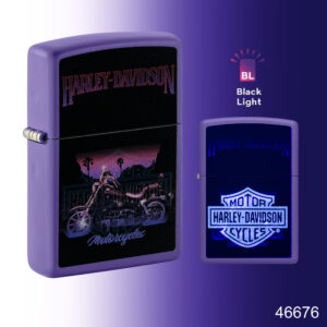 Harley-Davidson®