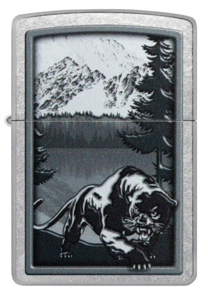 Mountain Lion Design