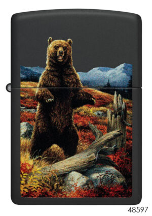 Linda Picken Bear