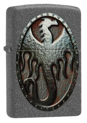 Metal Dragon Shield