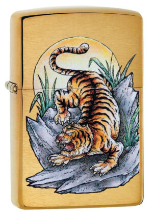 Tiger Tattoo Design