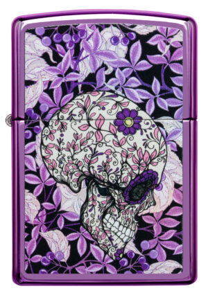 Hidden Skull